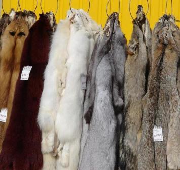 fur coats for sale