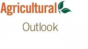 agricultural outlook