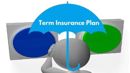 Choose a Term Insurance Plan